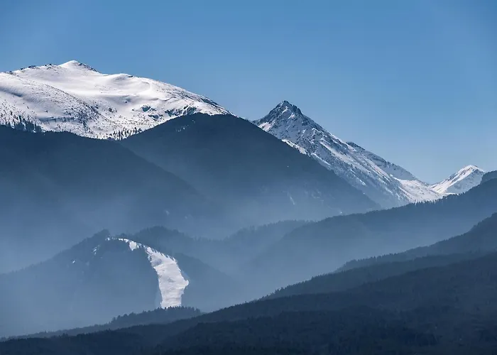 Apartment ковачева-3