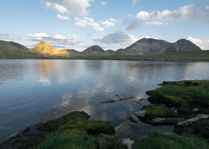 Apartment ковачева-3